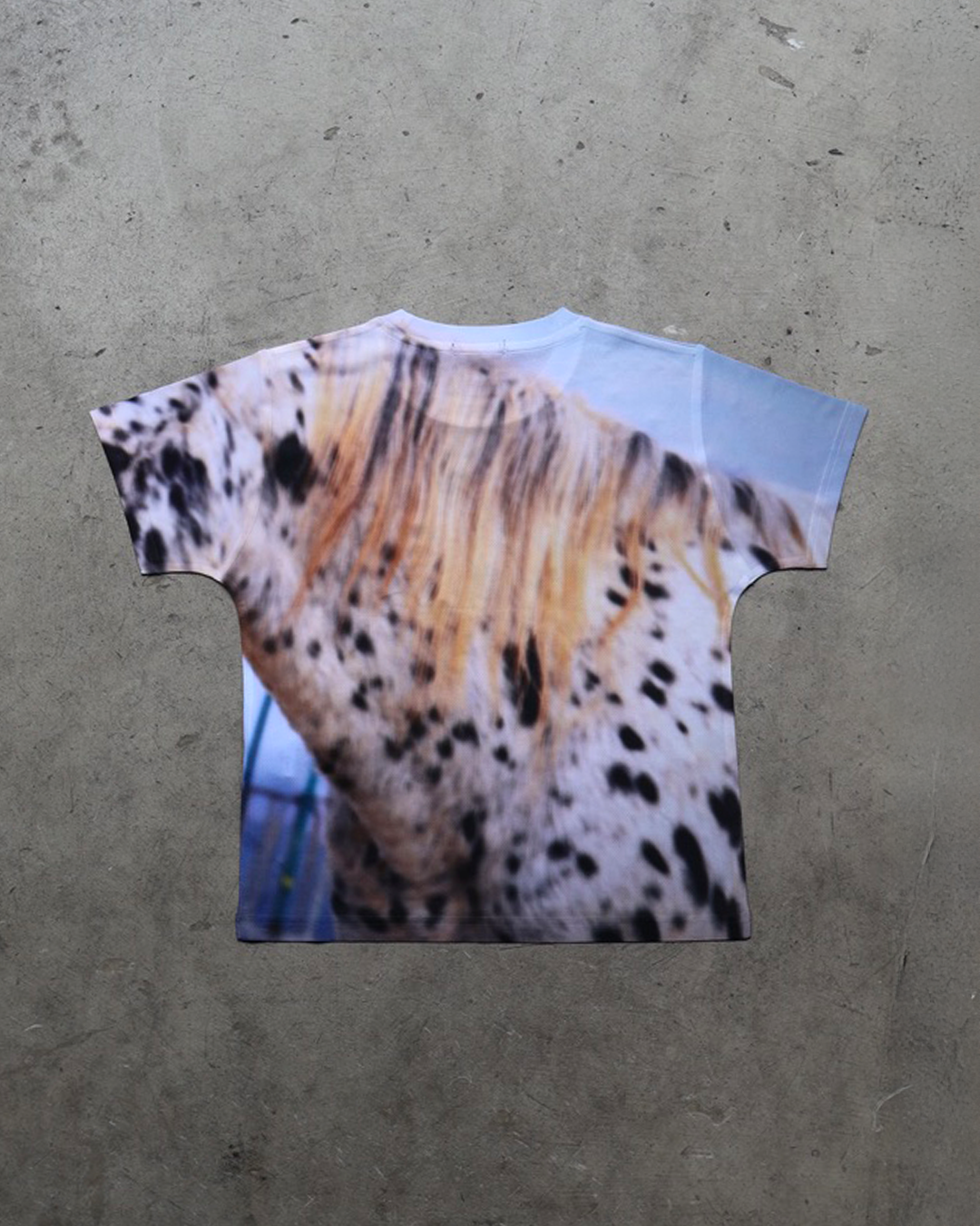CAVARO TEE/BLU