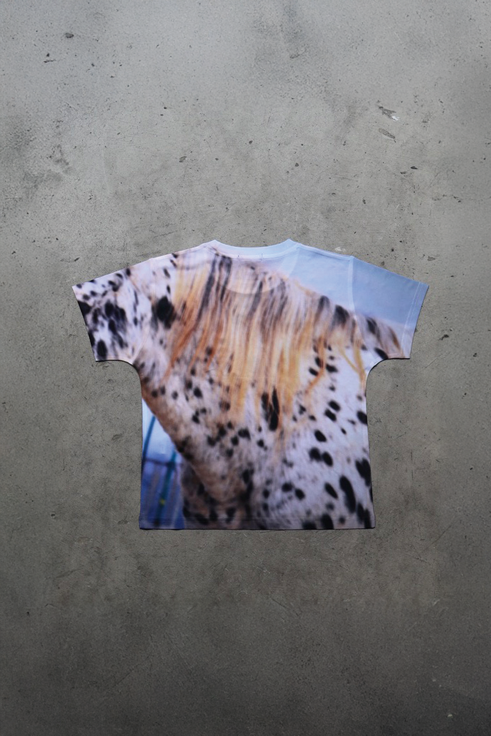 CAVARO TEE/BLU